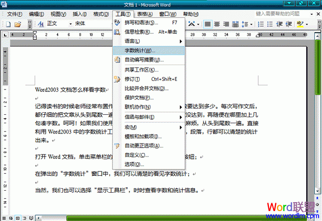 Word2003�ĵ���ô��������