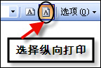 ѡ�������ӡ